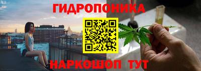 твердый Будённовск