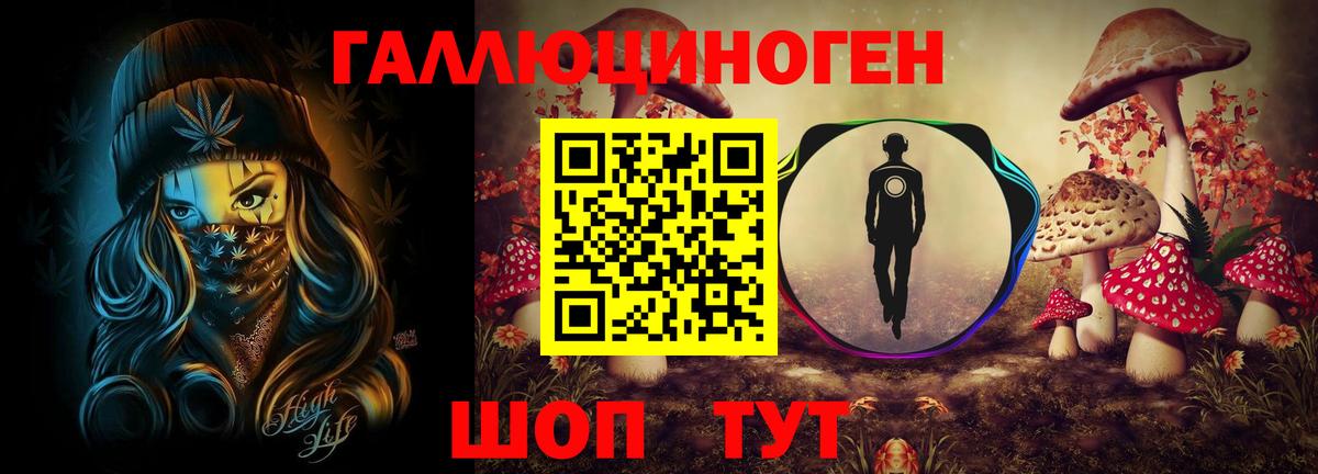 Люберцы  Галлюциногенные грибы Cubensis  Вход с VPN 